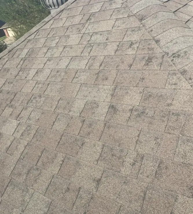 Sloped asphalt shingle roof with gray-brown weathering and staining across the surface.