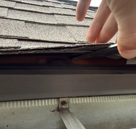 Close-up of a hand lifting a loose roof shingle, exposing a gap between shingles and underlayment near the gutter.