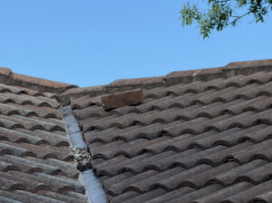 Old Roof Shingles